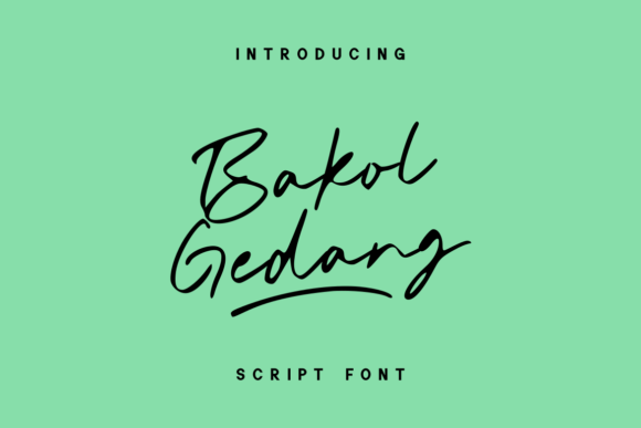 Bakol Gedang: A Quirky Handwritten Font for Craft Projects