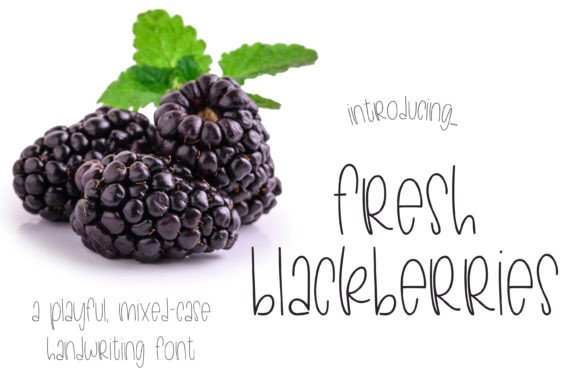 Fresh Blackberries Font for Web Design