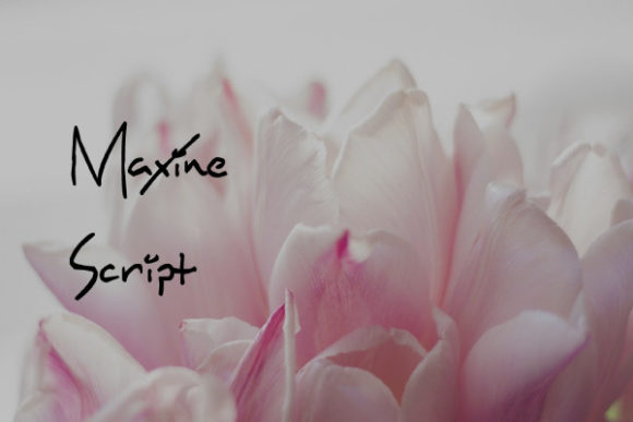 Maxine Script: The Elegant Typeface That Elevates Campaign Design