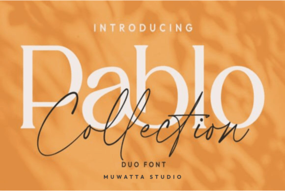 Pablo Duo: The Premium Typeface for Modern Web Design