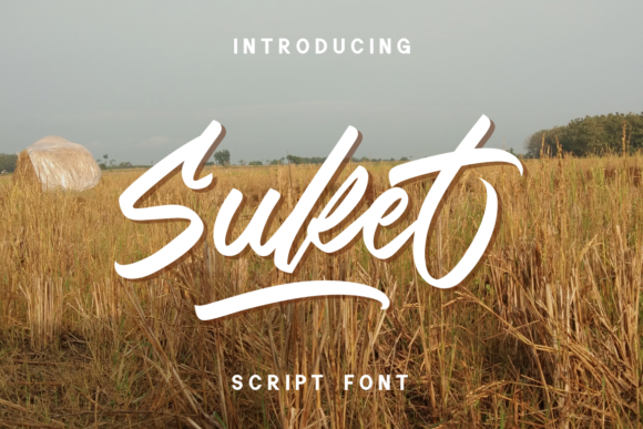 Suket Typeface: A Modern Script for Web Designers