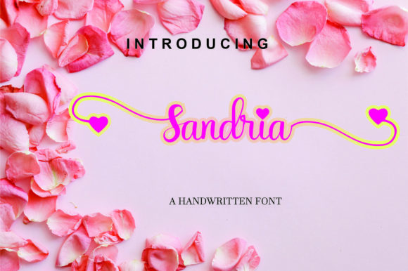 Testing Sandria for a Modern Web Design Project